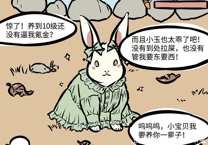 温顺|《非人哉》特别篇怎样饲养一只小玉必须注意一样东西