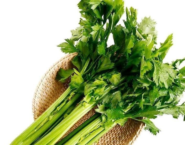 常吃|常吃芹菜的人,身体不会差,但切忌与一物同食,却有很多人不清楚