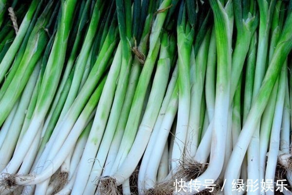 预防感冒|老中医提醒大葱要少吃,最好别吃!赶紧告诉家里人!