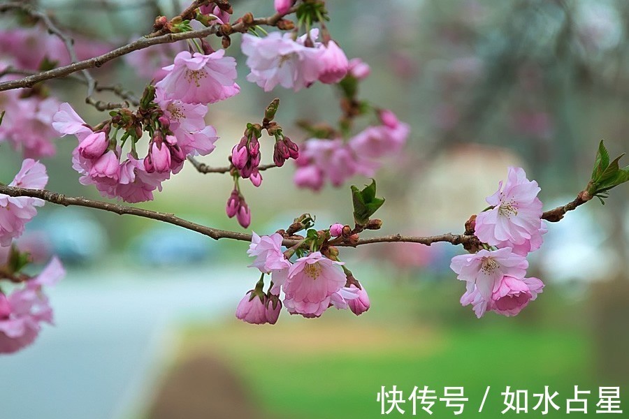 越命|越老越命好，生活丰富多彩，没有烦心事，可以享福的4个星座女