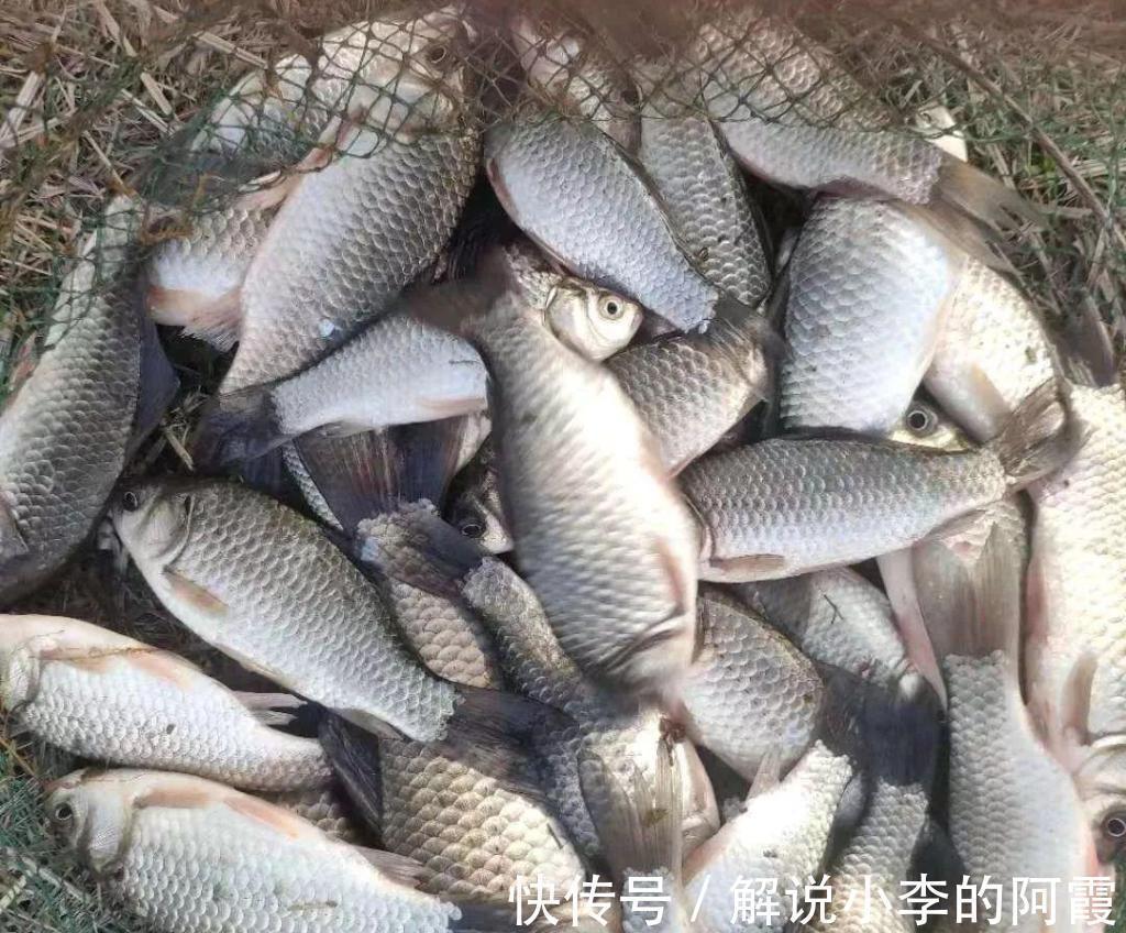 总说灵活调钓,到底怎么做,才叫做灵活调漂