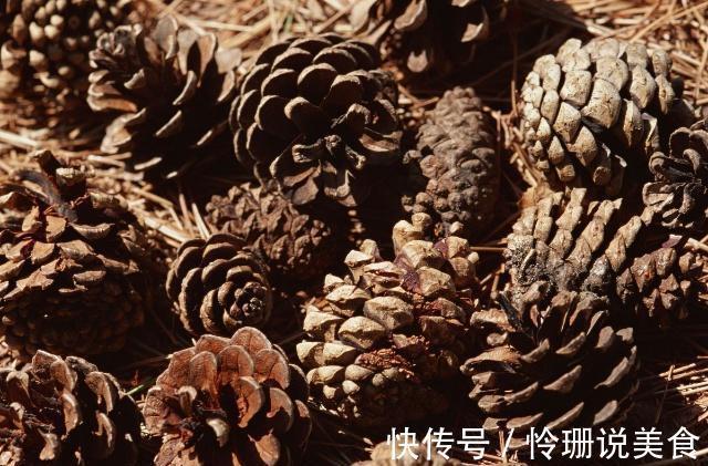 路边捡一点小东西,开水烫一下用来养花,养花十年也不会烂根