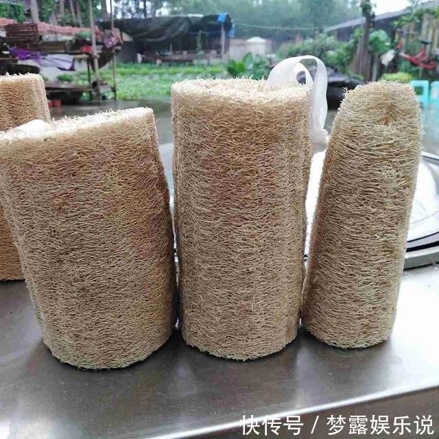 丝瓜瓤|老花农教你这么做,花儿不积水不烂根,盆盆长的精神