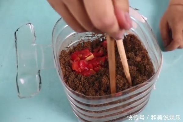 烂了的西红柿不要扔，其实比新鲜的还“值钱”，学到就是赚到！