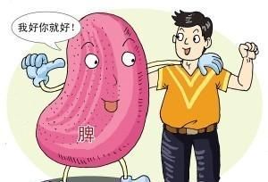 身体|夏季养生谨记这3点,祛湿、健脾、养阳,让你身体更健康