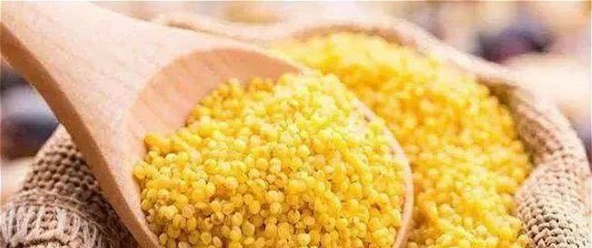 牢记|今天才知道,小米粥不能随便乱喝,为了健康,牢记3点,别再犯错