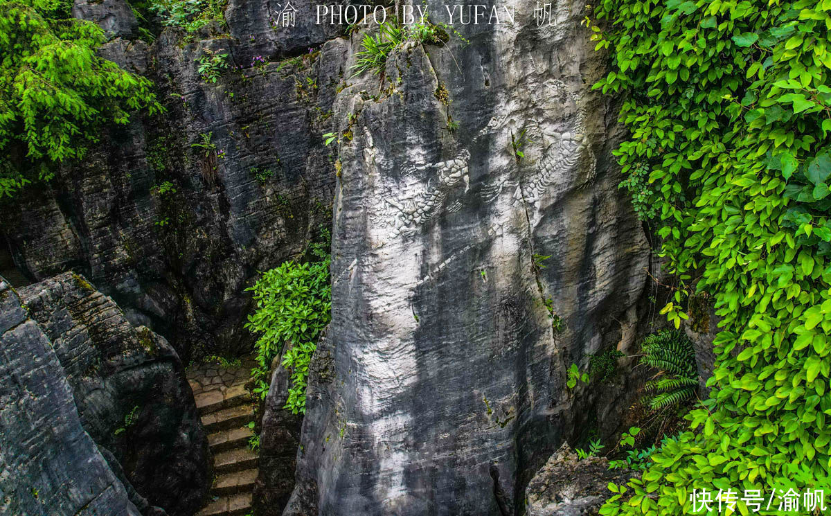 贵州|贵阳一公园发现2亿年前的古生物化石，疑似贵州龙，大家看像什么