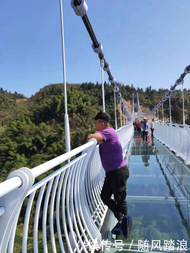 陆海空|云台山茶旅集团茶旅人风采——陆海空