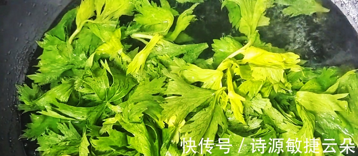 秋补多吃这7种蔬菜,滋补养胃,简单易做,冷热均可,一周不重样!