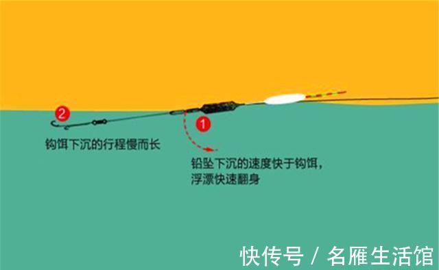 野钓|野钓必杀技巧:如何让鱼更快发现饵料,提升咬钩速度?