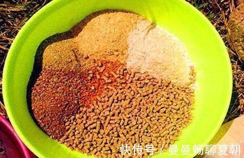 平拉|简单易上手的抛竿的开饵方法，干货满满分享给大家