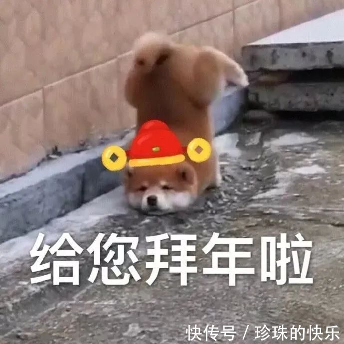 拜年|必存!新年拜年表情包丨第310期热门表情包