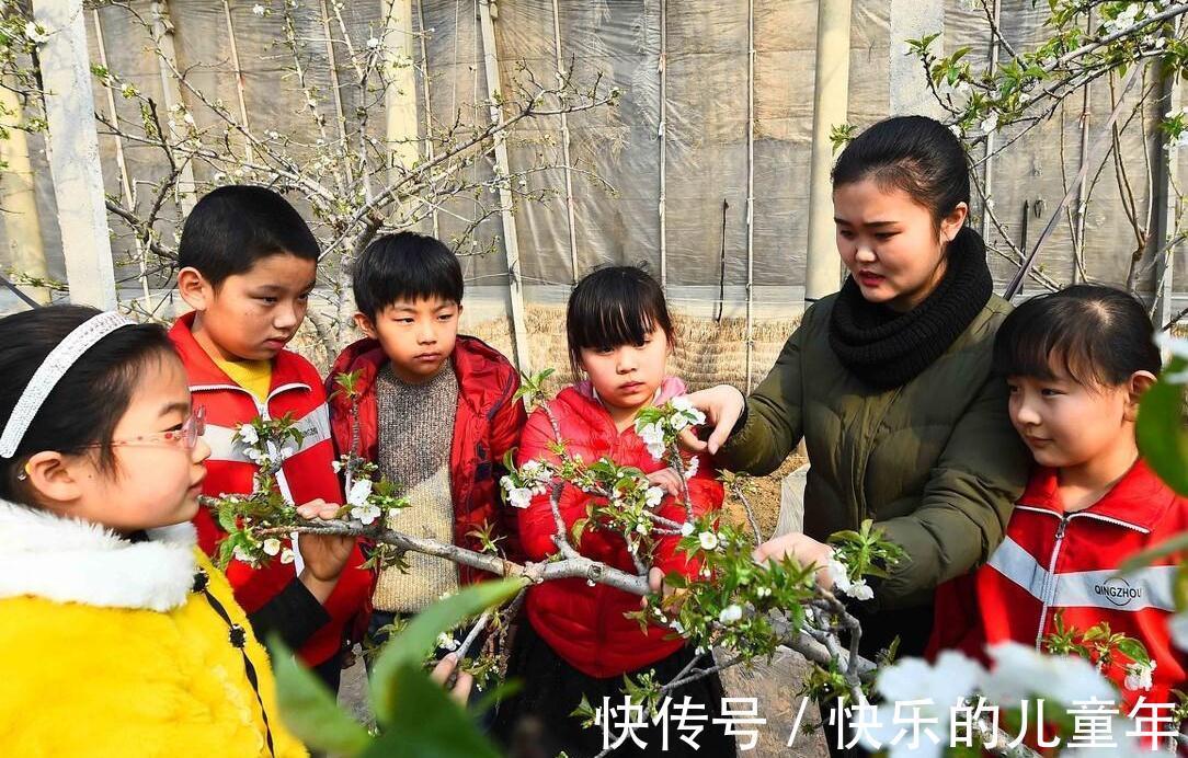 大自然|孩子生活单调两点一线，父母用自然教育，娃受益良多