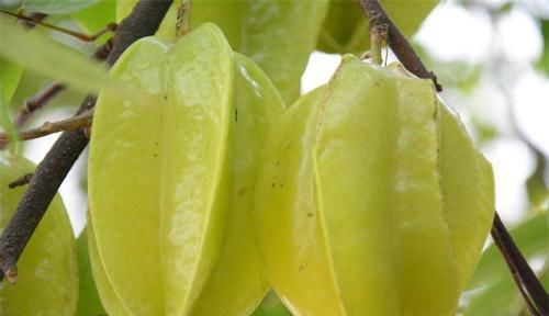 聪明的人|聪明的人爱吃3种食物,美容养生、延缓衰老,早吃早健康!