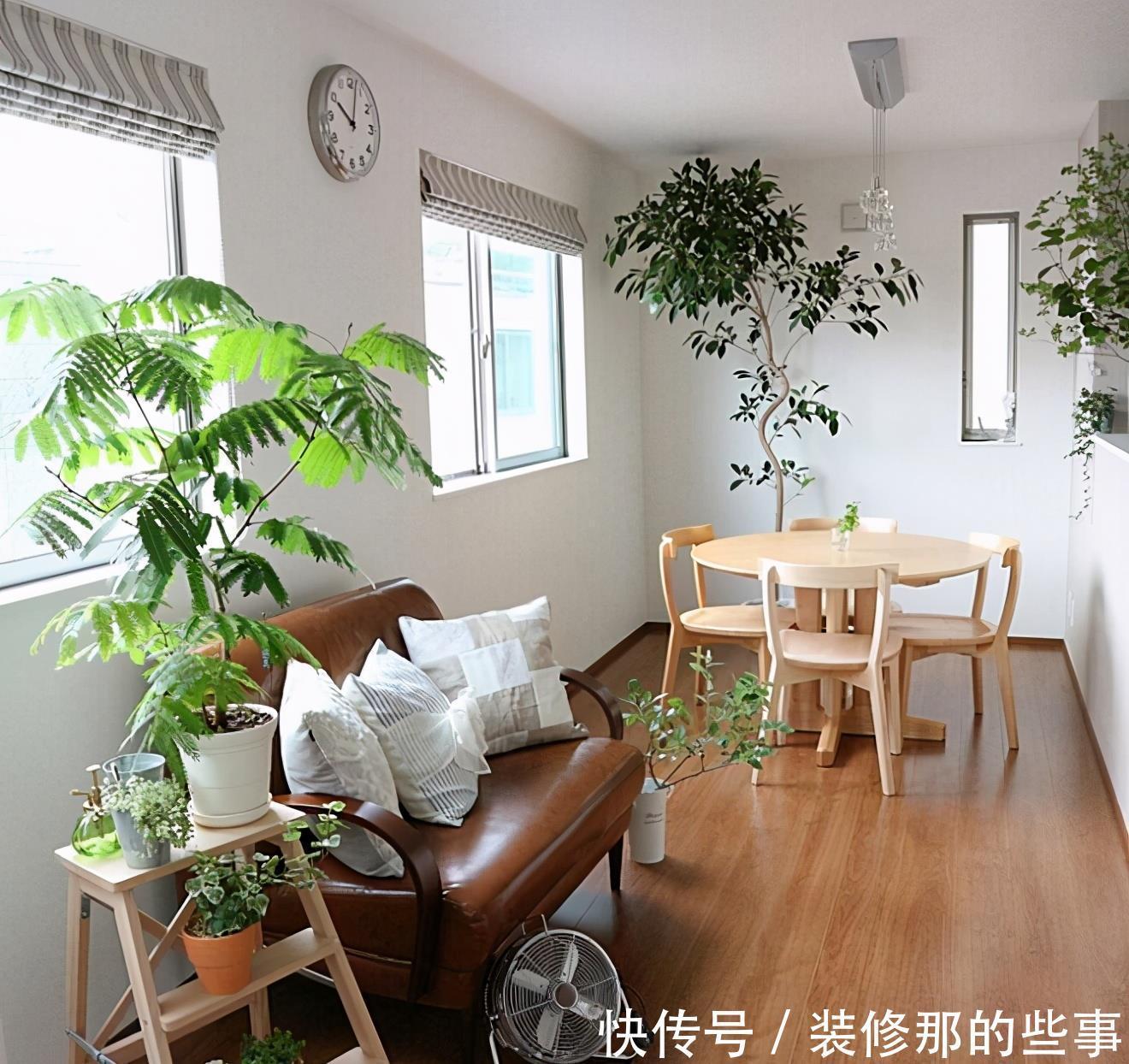 小两口之家,全屋布满绿植鲜花,把生活过成了诗,太美太治愈了