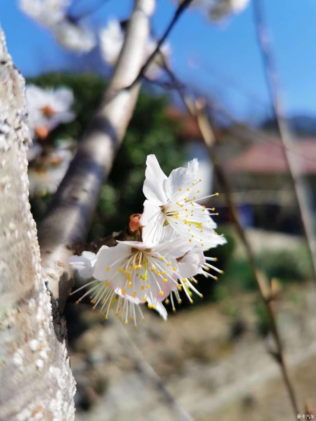 抓住这美好的时光，春天新启航