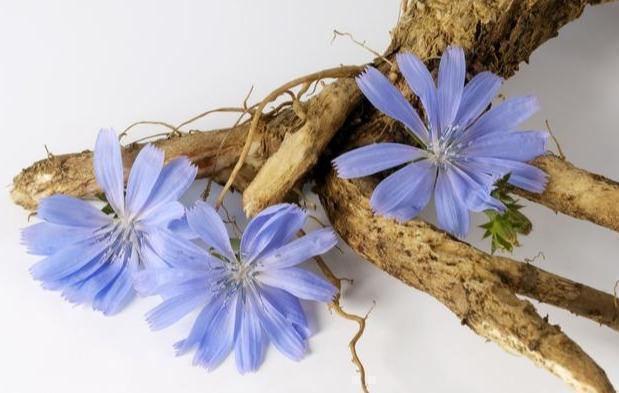 三水|肝不好的人,吃三食、喝三水、做好三件事,让肝慢慢好起来