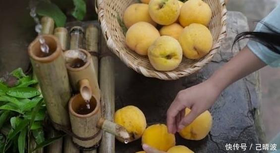美食|李子柒自制黄桃罐头,却被质疑火起来就作假,网友:没见过黄桃树