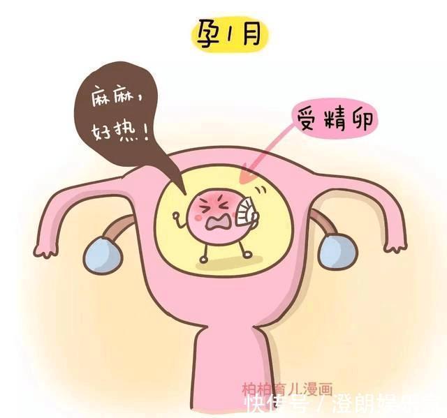 胎儿|怀孕后,有几个“禁地”,孕妇能不去就别去了,还真不是迷信