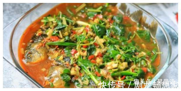 香喷喷|味道鲜美的几道家常菜,色香味俱全,美味营养,香喷喷的特下饭