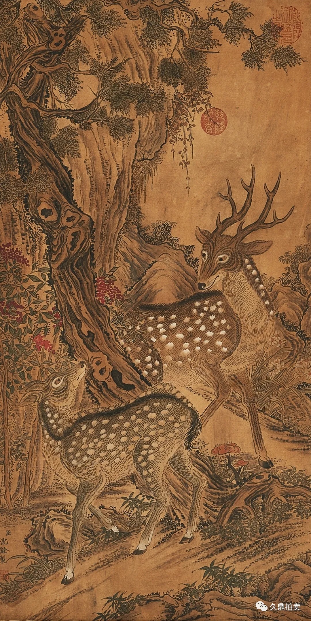 吕纪@「精品赏析」清 沈铨 松鹿图