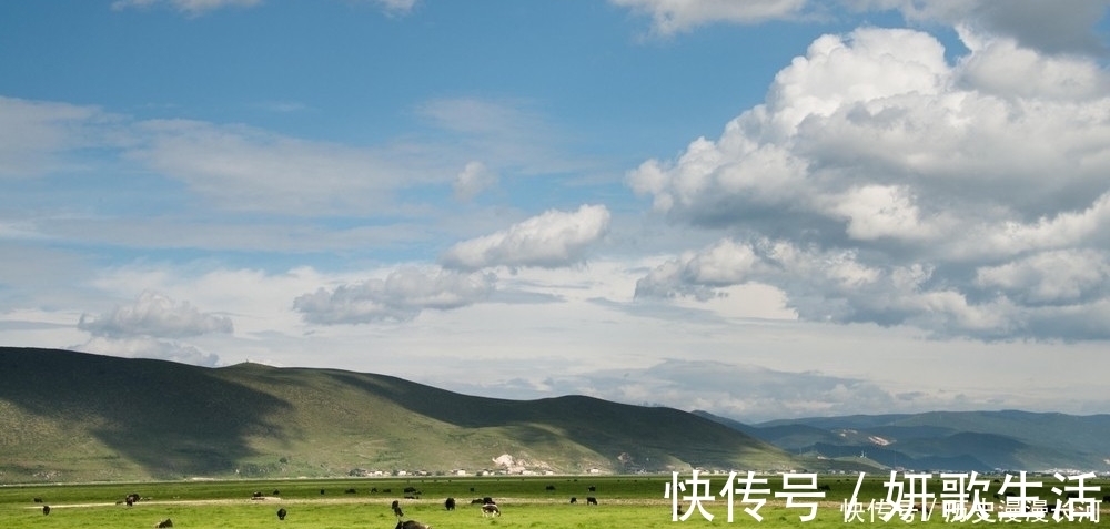 草原|香格里拉这个人迹罕见的地方，景色优美，绕海骑行是最佳选择