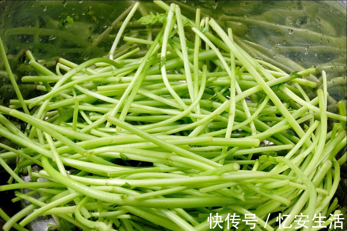 蒜蓉茼蒿|夏天多吃此菜，钙含量比牛奶高，气味清香，清热解暑，营养又好吃
