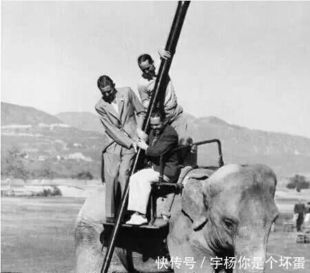 潜水服|一组罕见老照片,图2引无数男人回头,最后一张看了让人震撼!