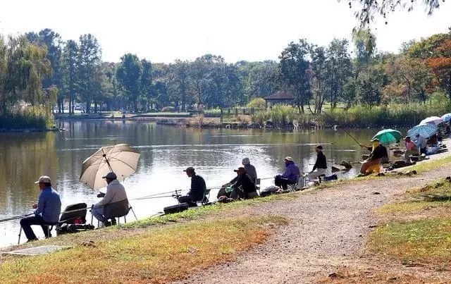 天冷鱼难钓?记牢老钓友这4字真言,别人没鱼你上鱼