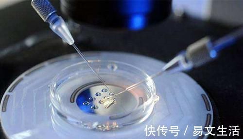 科学|中国首位“试管婴儿”,如今已31岁,与自然受孕的普通人有差别吗