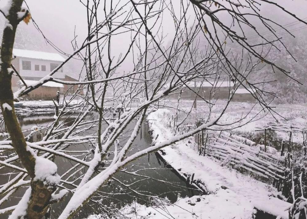 闽北雪景美图合集来啦～真正银装素裹，宛若琉璃世界！