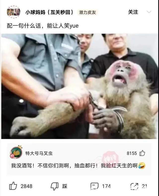 |神评段子合集:看高情商如何回复