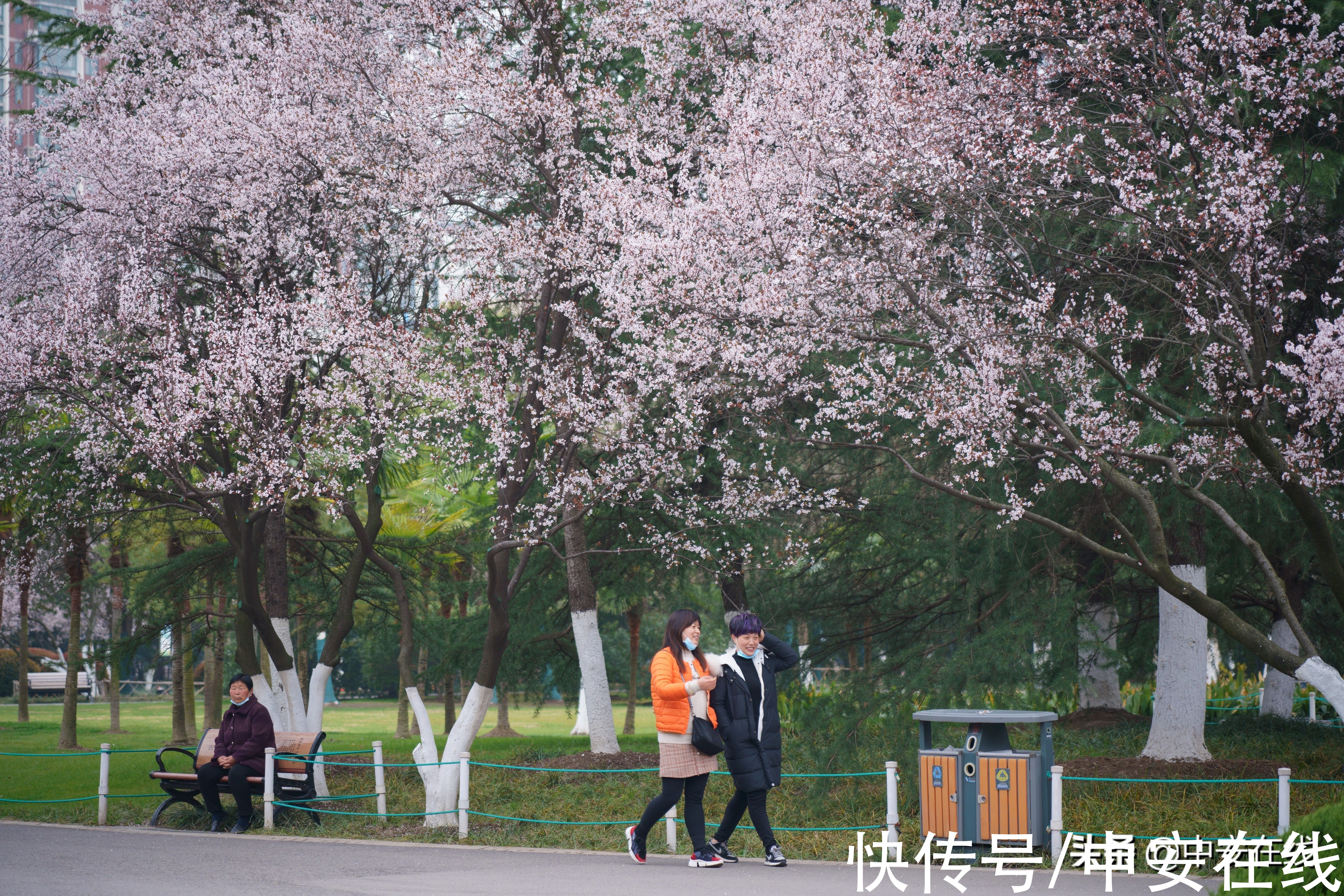 合肥|美丽安徽：胜日寻芳景 皖山皖水情