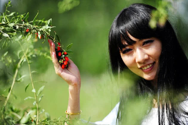 泡酒|还在用枸杞泡水喝？枸杞的这几种吃法，效果可能会翻倍