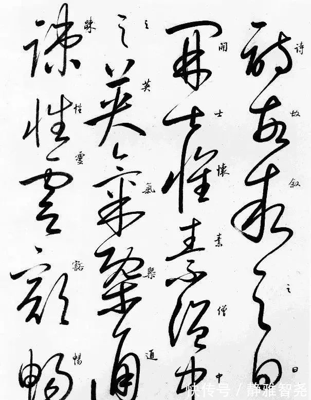 自叙帖#启功的草书也不错,笔法精湛,线条匀净,粗细均匀,是“硬功夫”