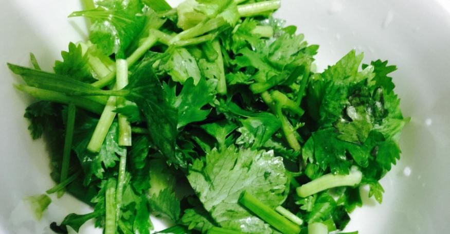  烦恼|香菜竟有这种大用处，解决了很多人的烦恼，只需在水里煮一煮即可
