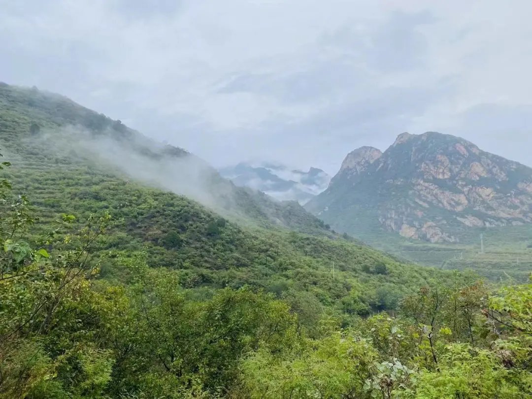 彩霞|彩霞与烟雨同在，仰望无限风光！