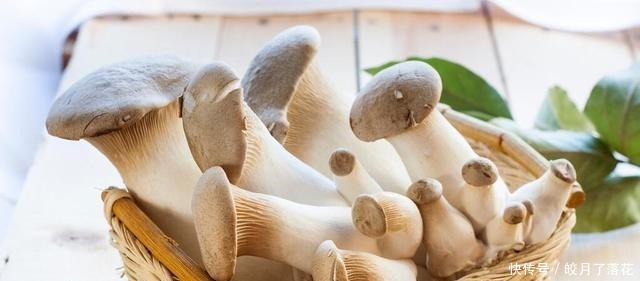 杏鲍菇的12种花样吃法可盐可甜,又香又鲜,味道美营养高!