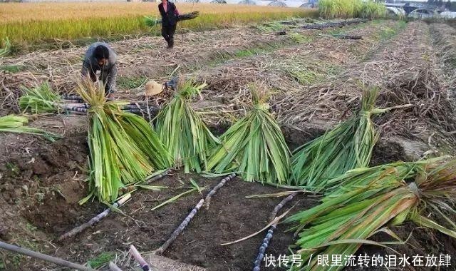  余杭人的心头好，即将上市！曾经风靡全国，很多人小时候都吃过！