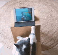 |搞笑GIF:我的洗衣机貌似中毒了,我要抢救他吗