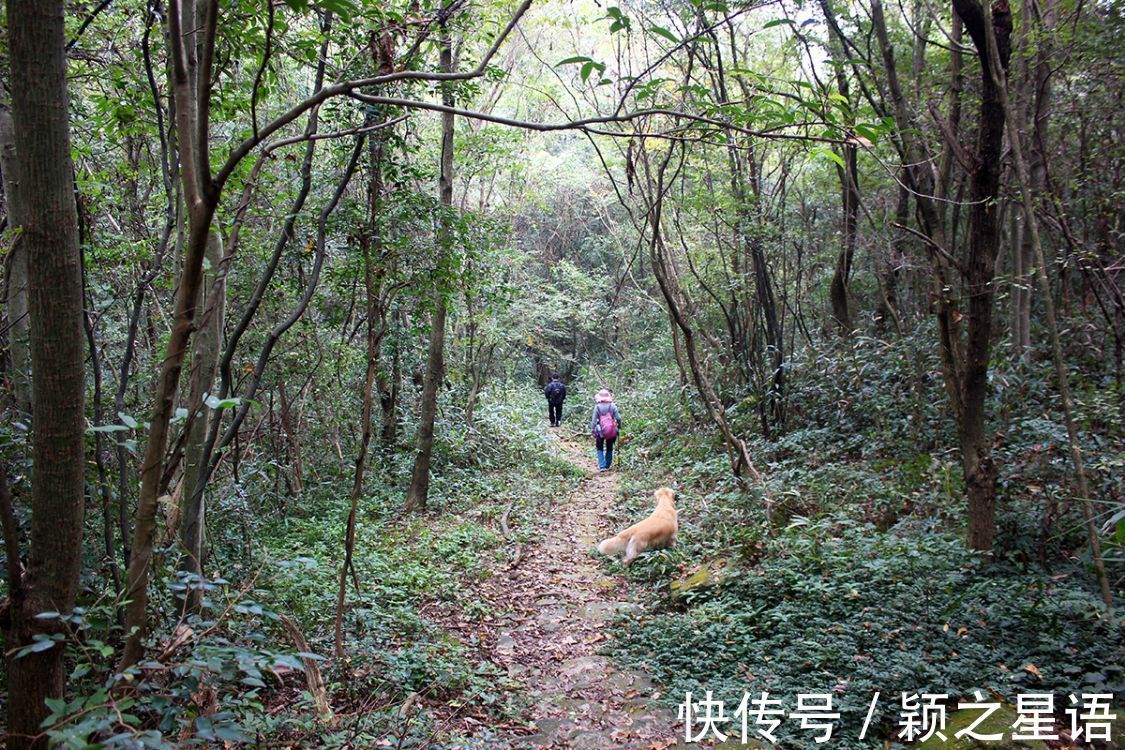 共产主义|劳动大学，章水茅洋山，风云变迁