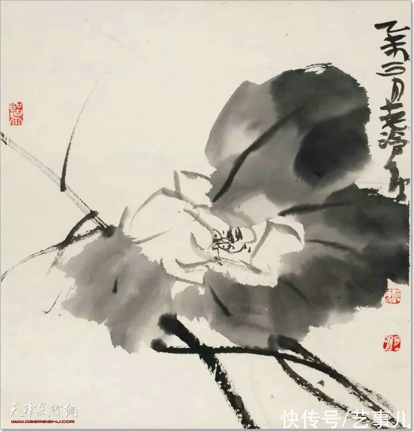 库尔勒!尹沧海教授荷花水禽作品欣赏:笔意简率自由 一派天趣自成