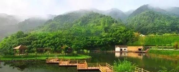 大案|文化平阴|戊子之变平阴史上第一大案