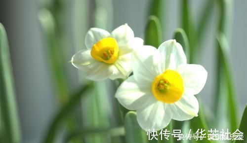 旺夫旺|出生在几点钟的孩子,是才子佳人,从小就优秀到大,是人中龙凤