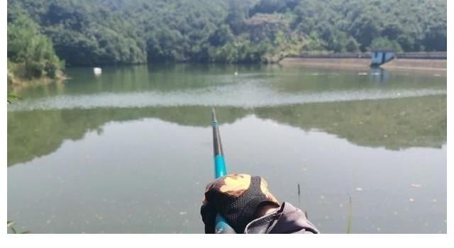 钓友|钓鱼人的崩溃只在一瞬间，这4个悲惨经历，体会过的人才懂