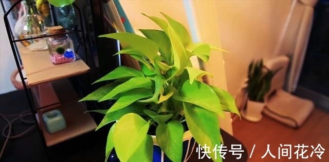 艾玛|女孩蜗居在8平方米公寓里,生活设施一应俱全,月租3800贵吗?