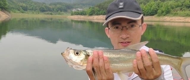 钓翘嘴知道这些,会让你收获满满,钓的非常过瘾