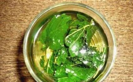 桑叶|常用此叶子泡水喝,皮肤白了,茶水洗脸还能去除色斑,女人必备