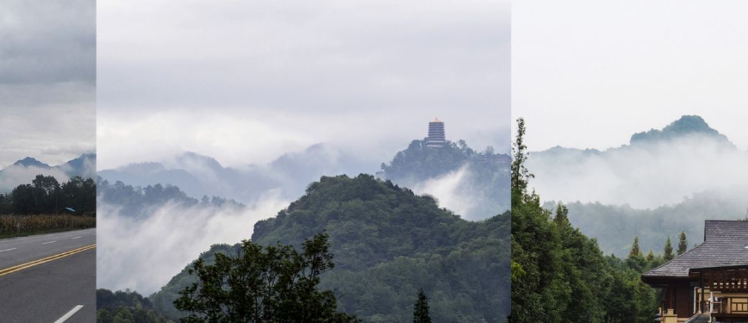 等我们老了,找个院子,清晨养花,傍晚喝茶。