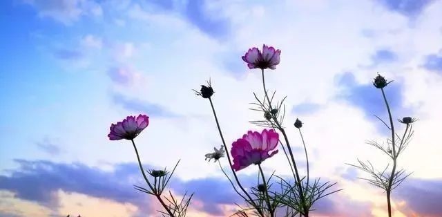 朱熹经典哲理诗6首,首首蕴含大智慧,读懂一生受益